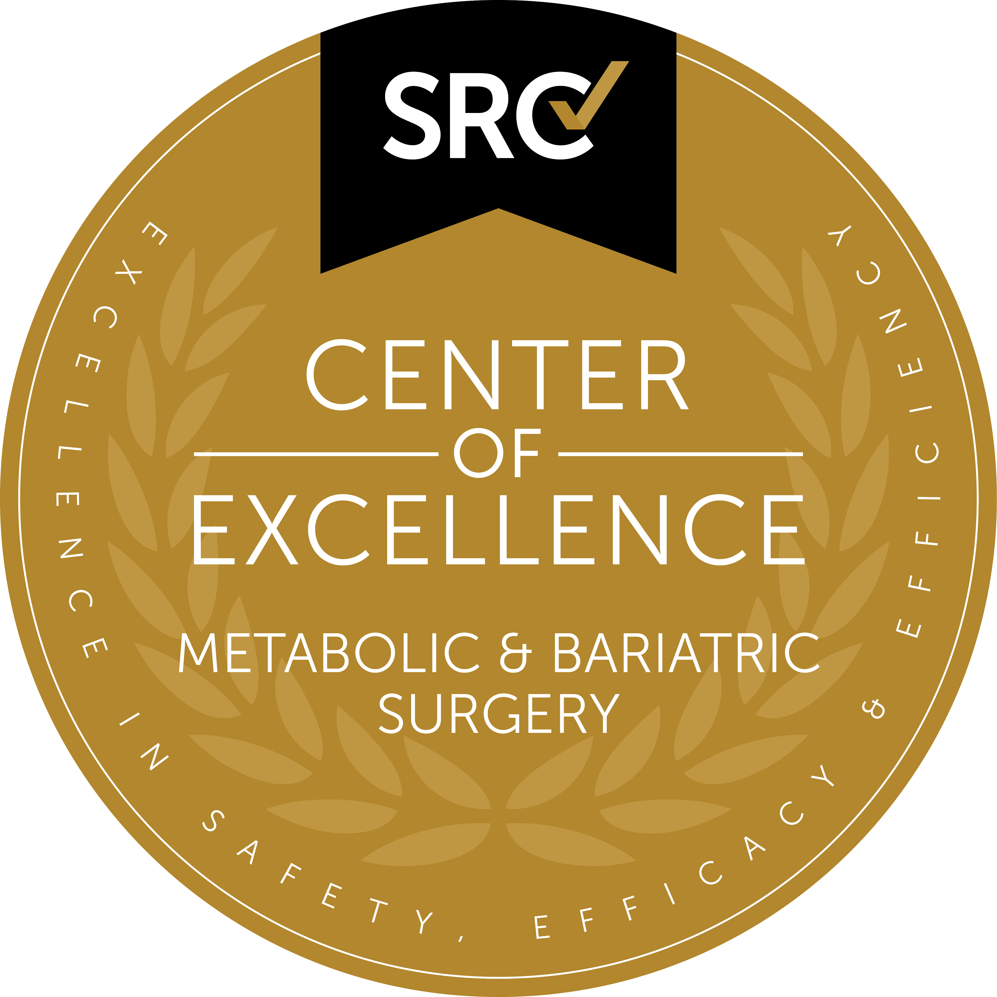 Center of Excellence – SRC